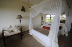 Luxury accommodation at Casa rex Vilanculos mozambique