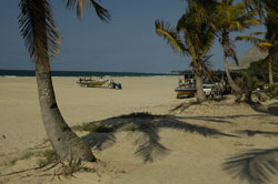 Barra reef Mozambique