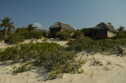 Barra reef Mozambique