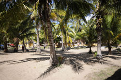 Palm Grove Lodge Barra beach Mozambique