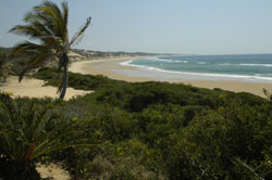 Cocnut Bay beach Mozambique