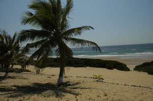 Cocnut Bay Beach Mozambique