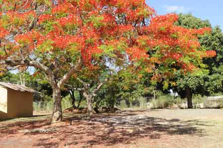 joly rogers stopover accommodation inharrime mozambiqiue