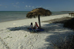 Beacutiful beaches at Guludo camp Mozambique