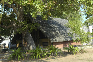 Budget accommodation in Pemba mozambique