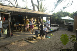 dolphin trips mozambqiue