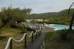 Ponta mamoli
