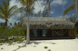 tropical paradise of Matemo island Mozambique