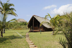 zongoene lodge rooms