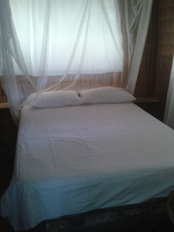 Arieia Branca Mozambique