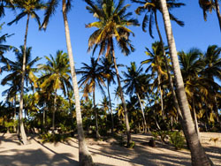 Areia Branca Lodge Barra Beach