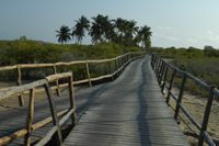 Barra Lodge Mozambique
