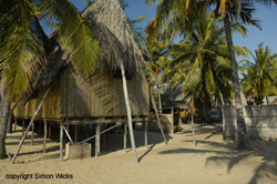 Barra Reef Mozambique