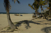 Barra Reef Mozambique