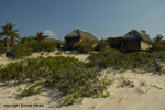 Barra Reef Mozambique