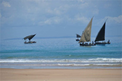 places to stay in Barra Beach