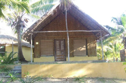 Palm Grove Mozambique