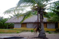 Palm Grove Mozambique