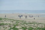 Palm Grove Mozambique
