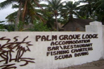Palm Grove Mozambique