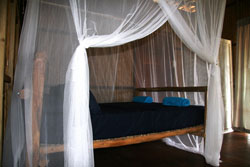 Palm View Lodge