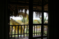Palm View Lodge