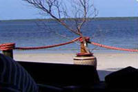 Silverfish Lodge Mozambique