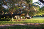 Villa N' Banga Mozambique