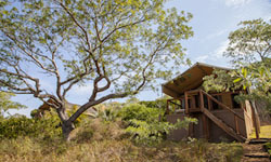 Naara Eco Lodge and Spa