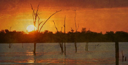 Casa Msika Lodge