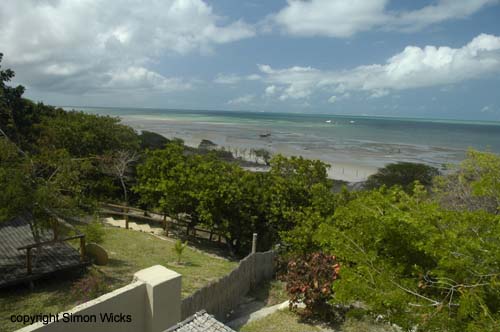 agiua_negra_08