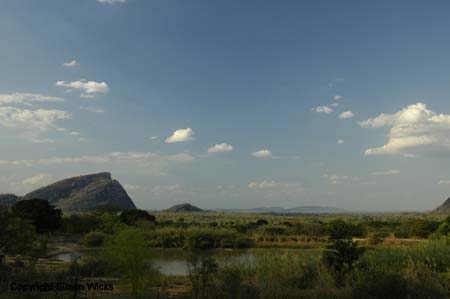 _DSC0002