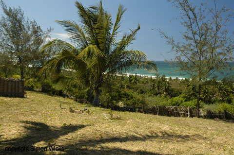 _DSC0089