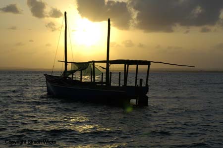 _BDSC0047