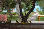 benguerra_07