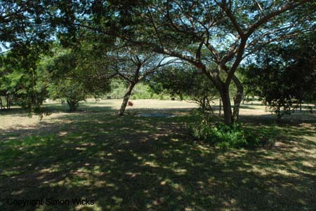 CDSC_0042
