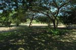 CDSC_0042