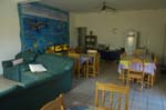 brittlestar_13