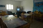 brittlestar_14