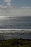 _DSC00432007-06-01_08.23.46