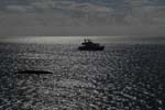 _DSC00442007-06-01_08.30.00