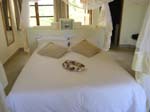 Casa Rex Acacia Room 2