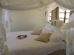 Casa Rex Acacia Room 8