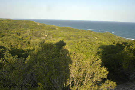 chidenguele_area_07