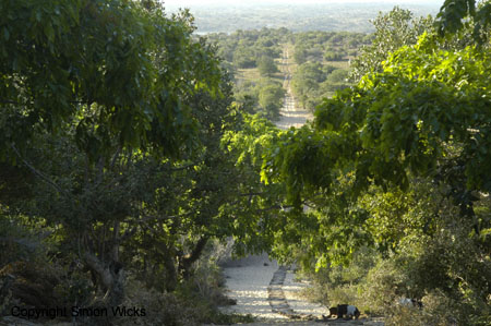 chidenguele_area_12
