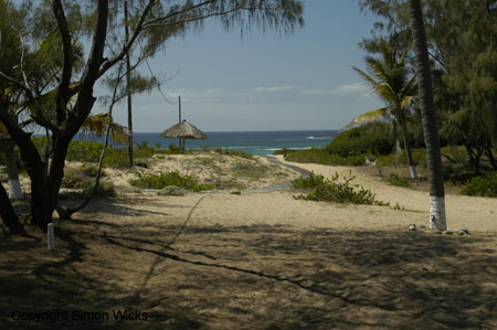 _1DSC0224