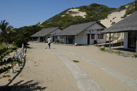 _DSC0201