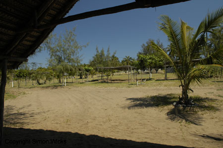 _DSC0208