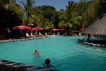 coconuts_maputo_01