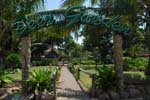 coconuts_maputo_03